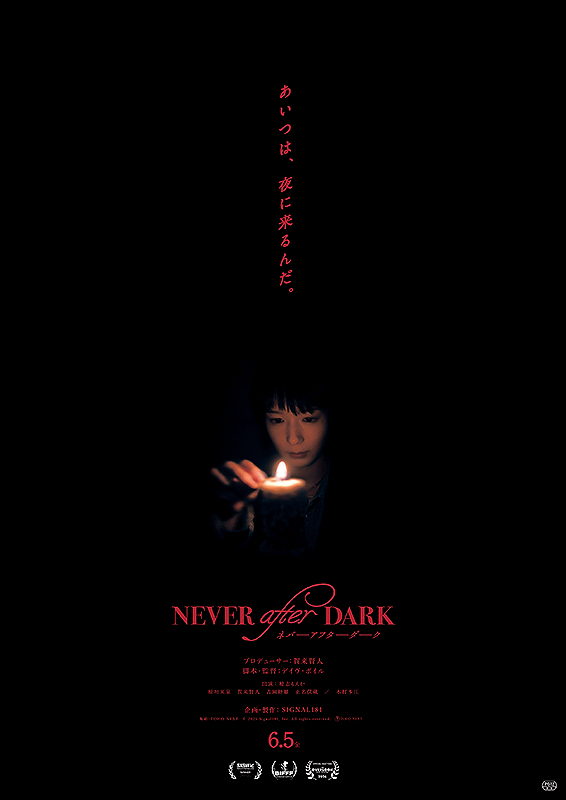 Never After Dark ネバーアフターダーク